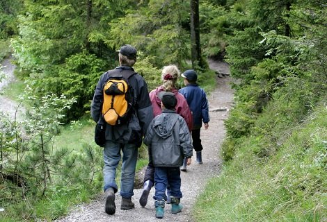 Bushwalking